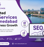 Top Rated SEO Services in Ahmedabad for Business Growth